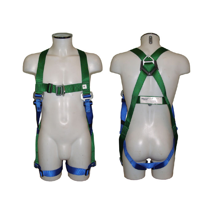 Two point safety harness.jpg
